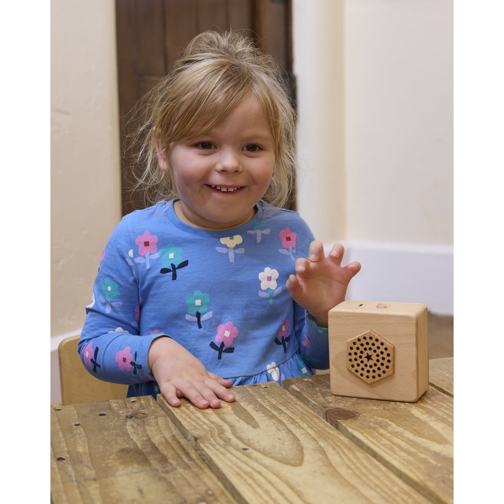 Wooden Say & Play Cube Pack of 3