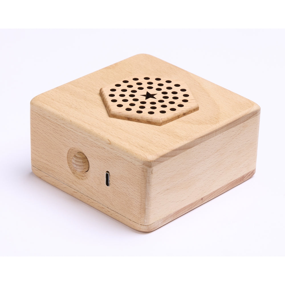 Wooden Say & Play Cube Pack of 3