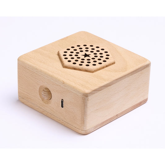 Wooden Say & Play Cube Pack of 3