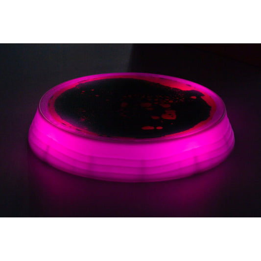 Luminous Balance Beam & Stepping Stones